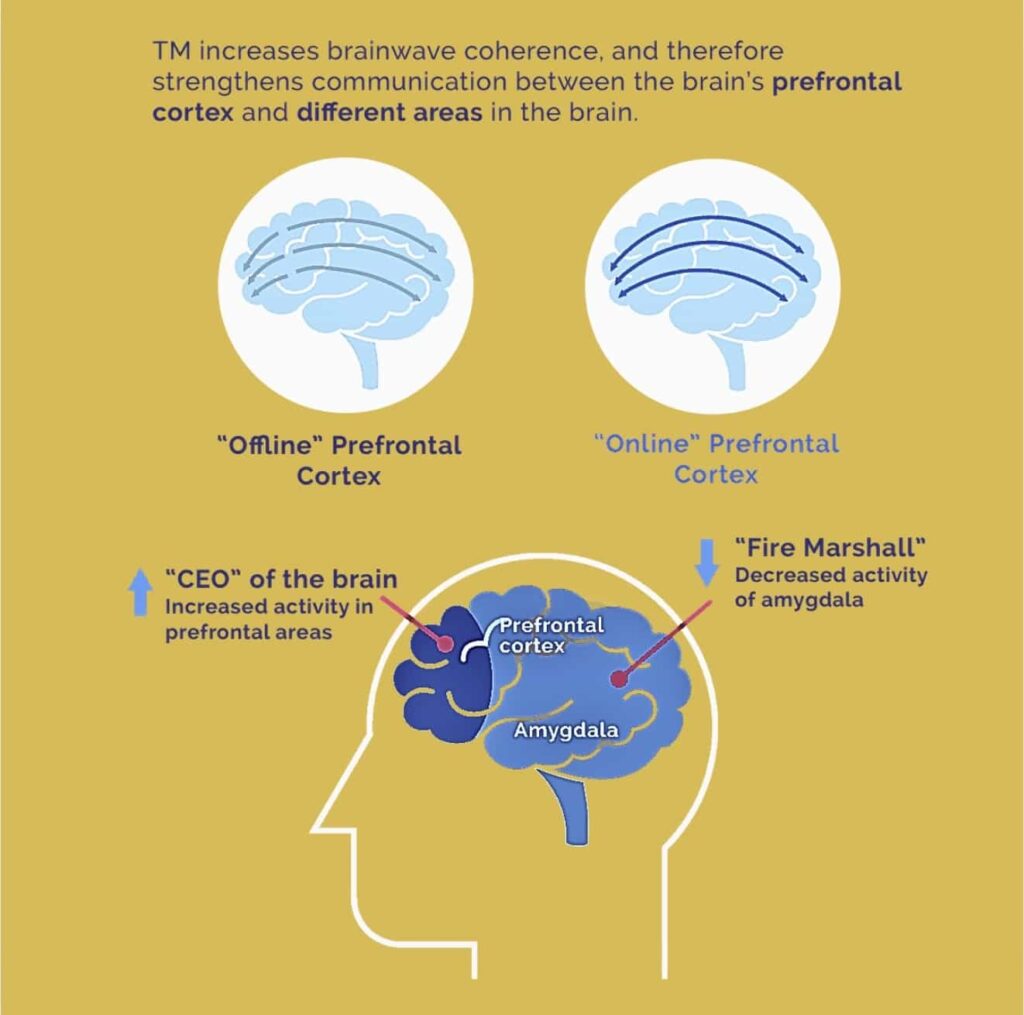 TM Effects on the Brain